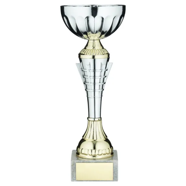 SILV/GOLD  SPIRO TROPHY CUP WITH PLATE - 8.5in