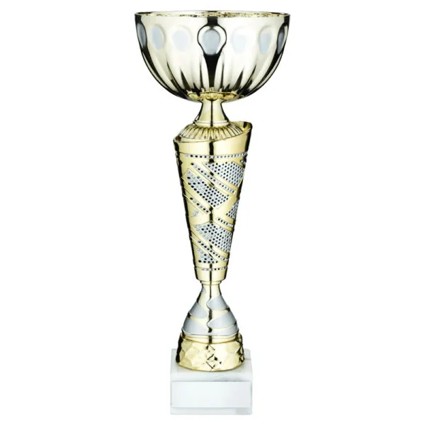 GOLD/MATT SILV TROPHY CUP WITH PLATE - 10in